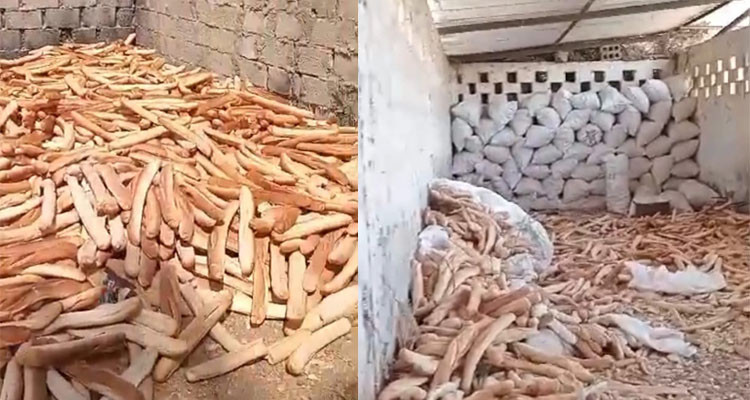 إيقاف صاحب مخبزة تعمد توجيه الخبز العائلي المدعم إلى تعليف الحيوانات