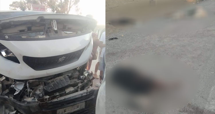 الكاف: نفوق 22 رأس غنم دهستها سيارة لواج  وإصابة 5 أشخاص 