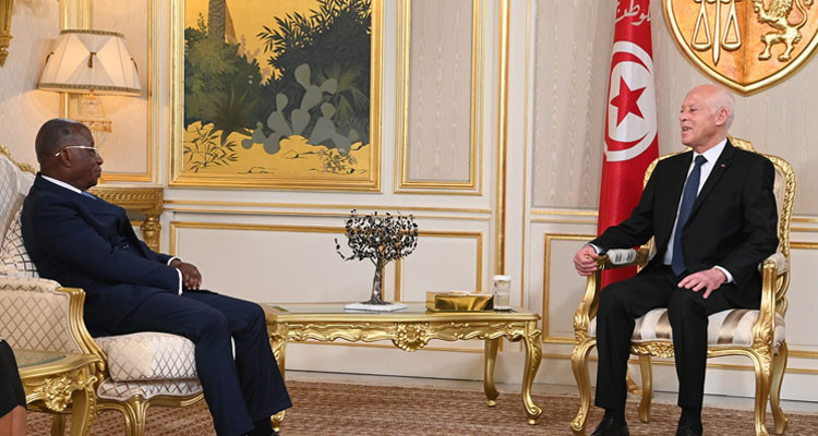 رئيس الدولة: مرحبا بكل الأشقاء الافارقة لكننا لن نسمح  لأحد بالخروج عن القانون