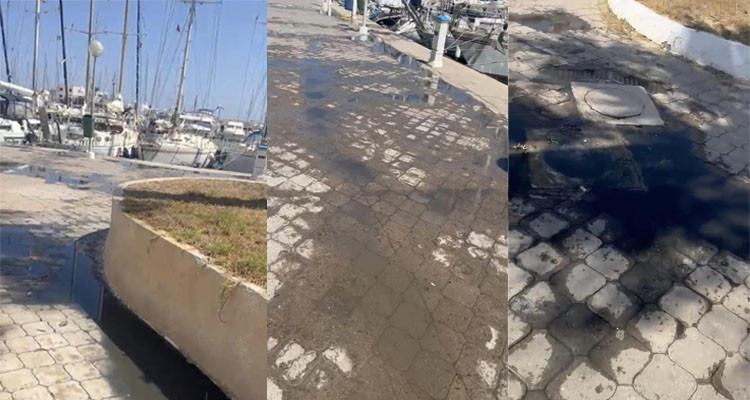 فتح بحث بعد التفطن لأنبوب يضخ مياه كريهة بميناء مارينا المنستير