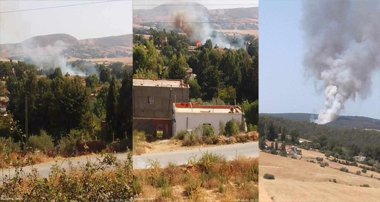 سجنان: حريق يأتي على قرابة ثلاثة هكتارات من النسيج الغابي