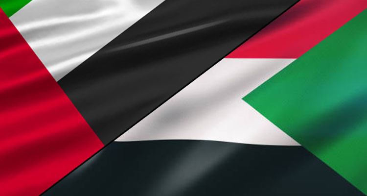 دولة الإمارات تكشف عن حجم جهودها الإنسانية في السودان