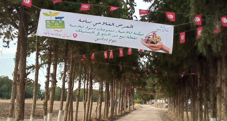 باجة: قريبا إستعمال المياه المعالجة لري المنطقة السقوية العمومية بوتفاحة