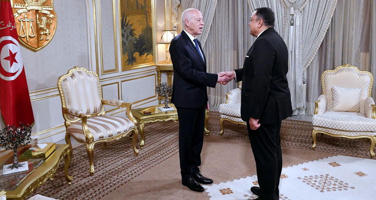 رئيس الدولة يستقبل السفير المصري بمناسبة انتهاء مهامه 