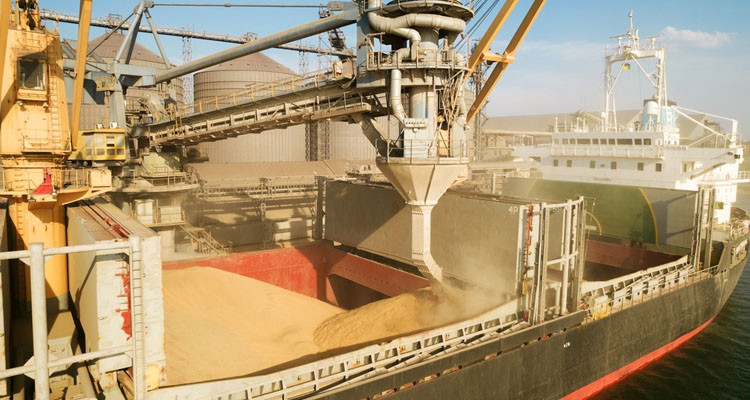 تونس تعلن عن طلب عروض دولي لاقتناء 225 ألف طن من الحبوب 