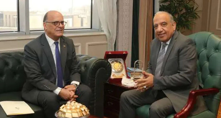 وزير الكهرباء المصري: خبراتنا على ذمة تونس لانتاج الطاقات النظيفة
