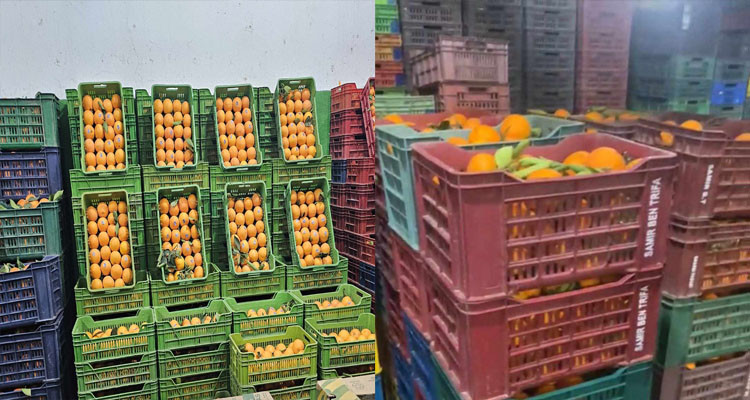 إحباط ترويج طنين ونصف من القوارص و''القنارية'' خارج مسالك التوزيع