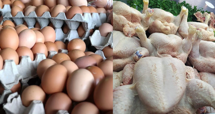 وزارة التجارة تحدد أسعار البيض واللحوم البيضاء خلال شهر رمضان 