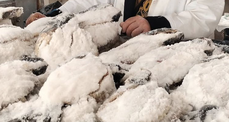 بلدية صفاقس تتلف 100 كيلوغرام من السمك المجمد منتهي الصلاحية 