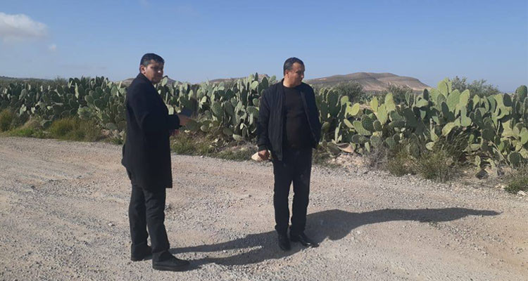 والي القصرين يحيل ملف أحد المقاولين على القضاء بشبهة الغش