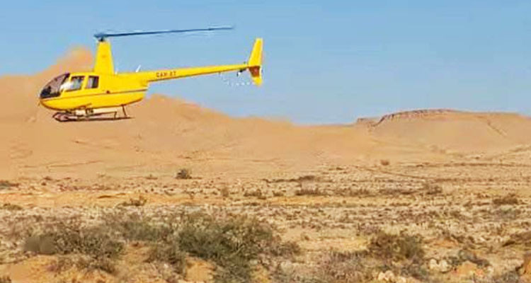 ذهيبة: الاستعانة بطائرة عمودية لرش المبيدات على أسراب الجراد