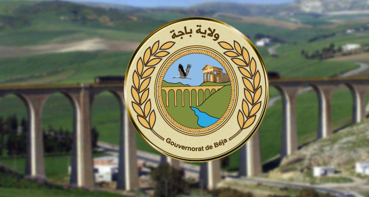 والي باجة يدعو عموم المواطنين إلى توخي الحذر من الامطار الغزيرة 