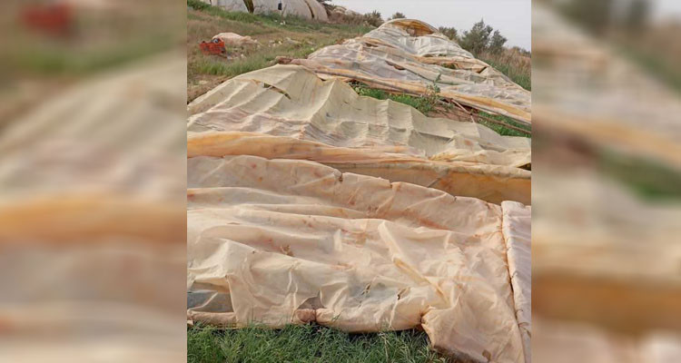 قبلي: الرياح الرملية تلحق أضرارا فادحة ببيوت الفلاحين المكيفة 