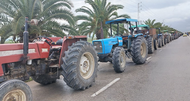 جندوبة: انطلاق الحملة الجهوية لفحص الجرارات والآليات الفلاحية 