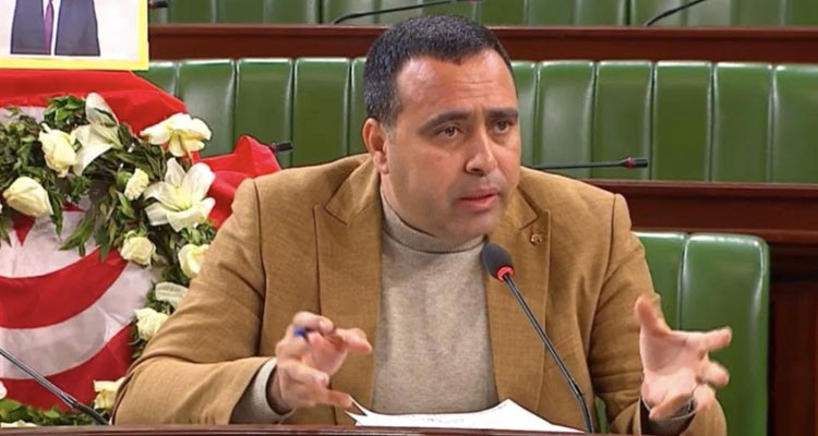 النائب طارق المهدي: أمامنا فرصة أخيرة لترحيل الافارقة غير النظاميين فلا تهدروها