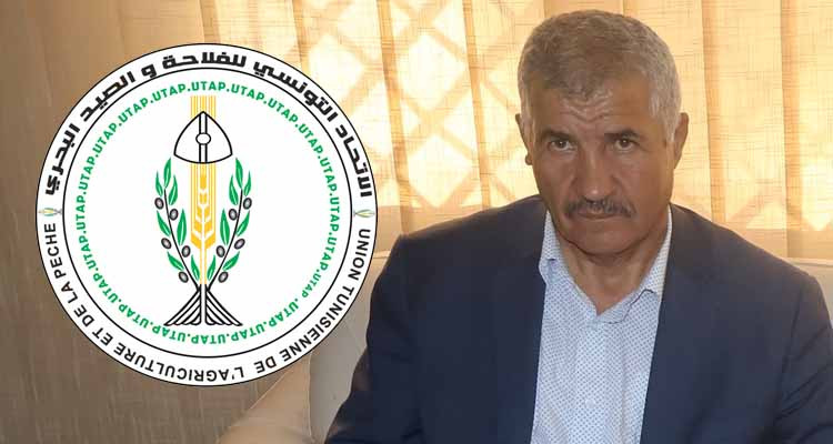 شكري الدجبي: الأمطار الأخيرة لم تخلف أضرارا تذكر على المحاصيل الزراعية 