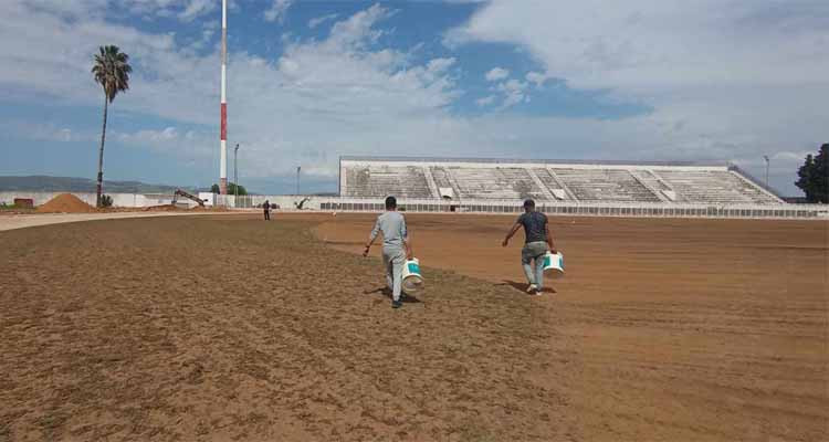 الشروع في تعشيب الميدان الرئيسي لملعب بوجمعة الكميتي 