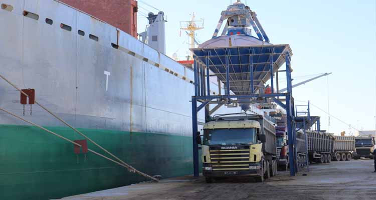 باجة: 44 مركز تجميع تتجهز لاستقبال صابة واعدة من الحبوب  