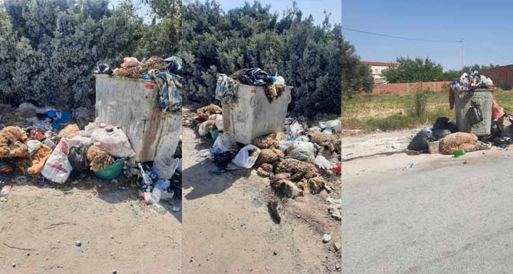 متساكنو الحمامات يستنكرون: ككل عيد اضحى الفضلات تتكدس والبلدية غائبة 