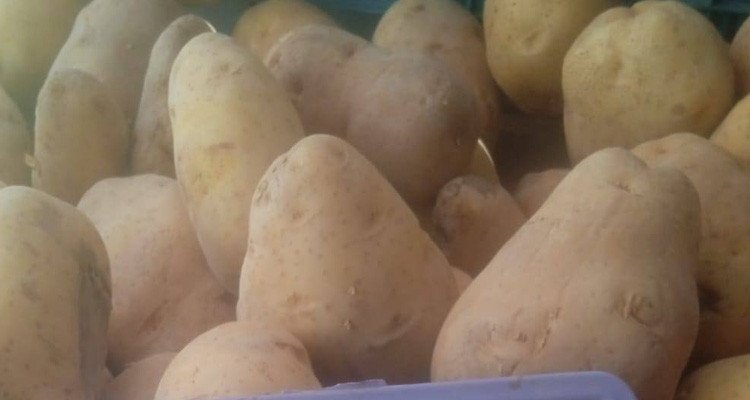 وزارة التجارة تحدد أسعارا قصوى لمادة البطاطا بمختلف مراحل التوزيع