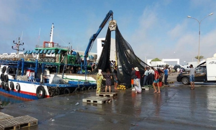 قليبية | الصندوق العالمي للطبيعة يدين صيد شياطين البحر العملاقة  وبيعها علنا 
