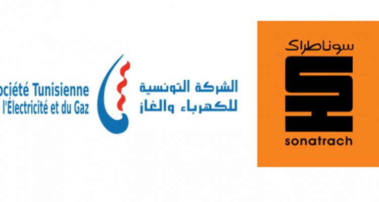 على ذمة الصحيفة الجزائرية: قيس سعيّد يشتكي ''سوناطراك'' لدى عبد المجيد تبون