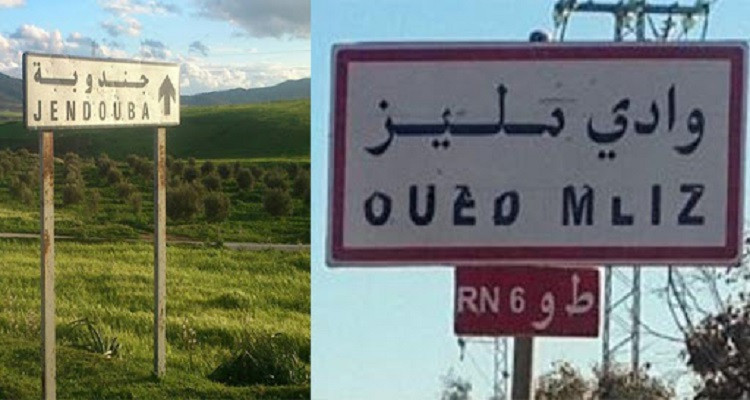 رجة أرضية في منطقة وادي مليز