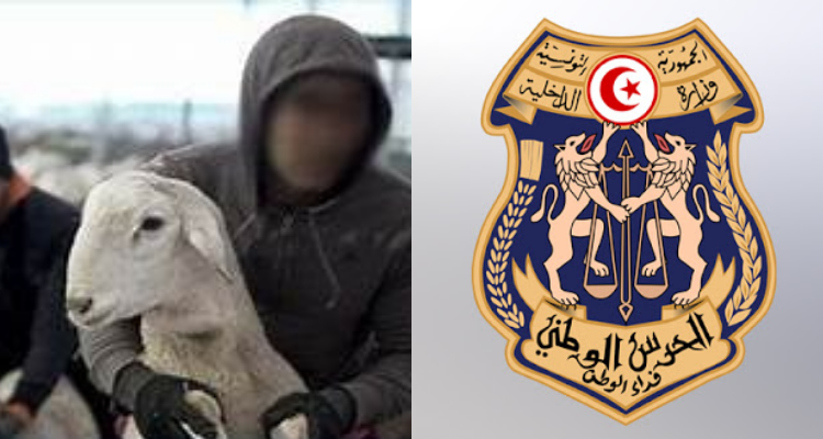 طبربة الحرس الوطني
