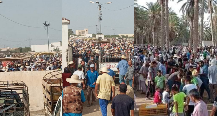 دوز وجلمة رحبة