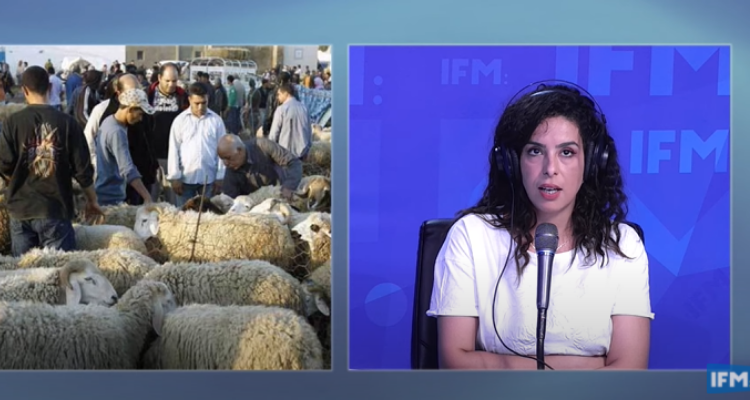 صابرة العوني الأضاحي