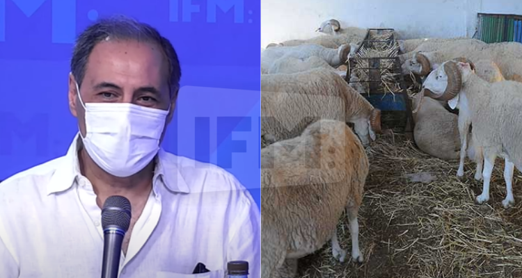 أمان الله المسعدي تجمعات العيد