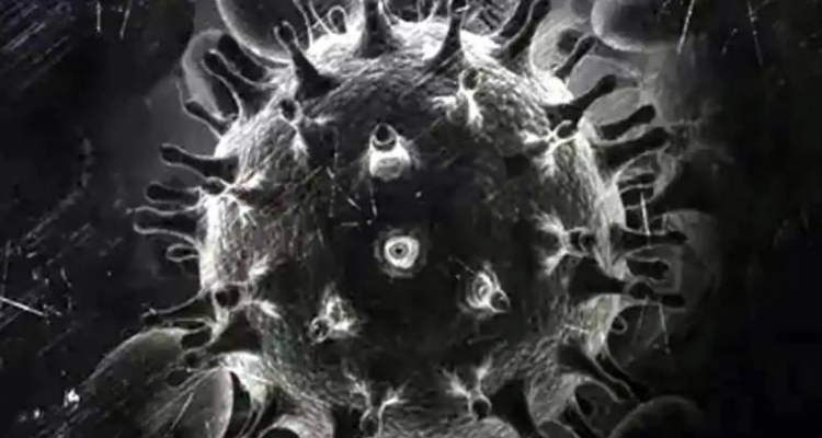 الفطر الأسود مستشفى سهلول بسوسة