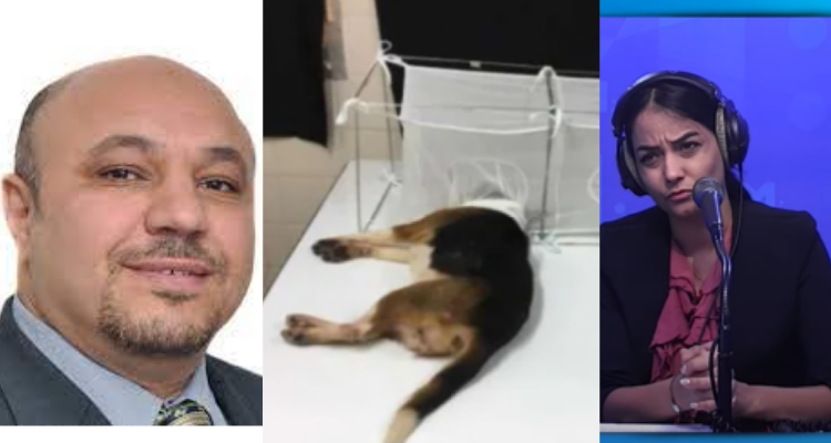 د.مراد مريكش إستئصال الحبال الصوتية للكلاب