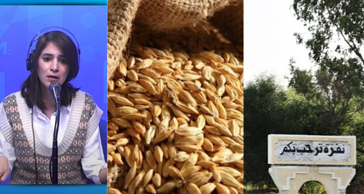 الأعلاف المدعمة
