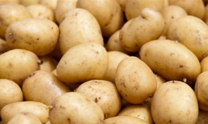  القصرين: حجز 7 أطنان من البطاطا