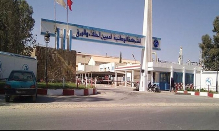 القصرين: مهندسون يساندون زملاءهم المعتصمين أمام مصنع عجين الحلفاء والورق