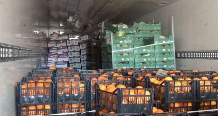 حجز حوالي ثلاثة أطنان من الغلال و14 طنّا من دقلة النوربقفصة