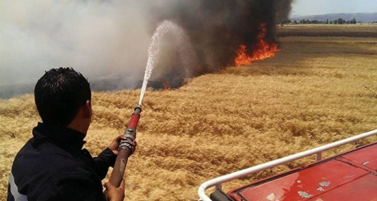حريقان متزامنان بباجة ومجاز الباب