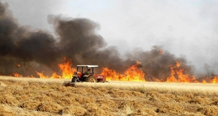 برج العامري منوبة: السيطرة على حريق أتى على هكتارين من الشعير تابعة لشركة إحياء في الحفصية