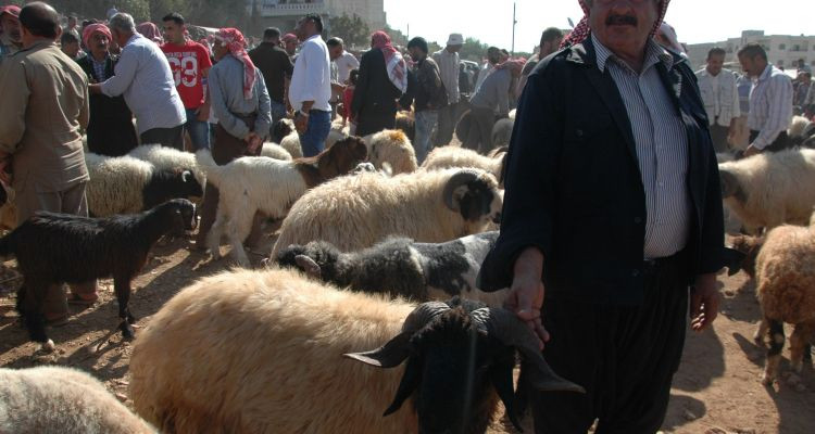 الاتحاد العربي لعلوم الفلك : عيد الأضحى سيكون يوم 31 جويلية القادم