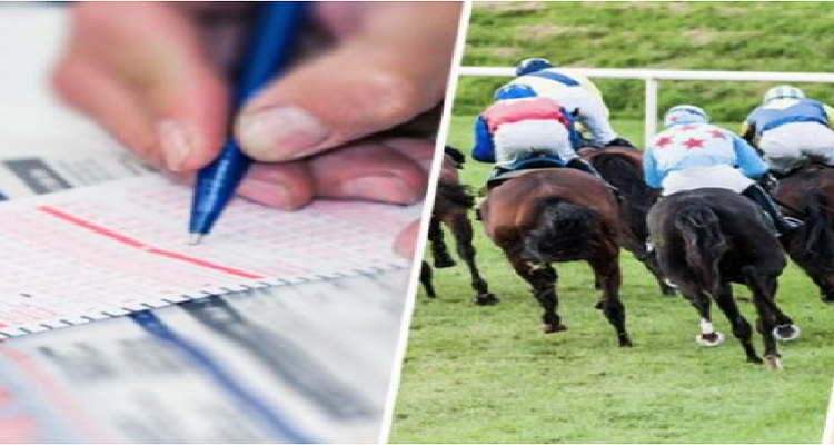 الدندان_منوبة: ضبط وكر رهان سري على الخيول وإيقاف ثمانية أشخاص