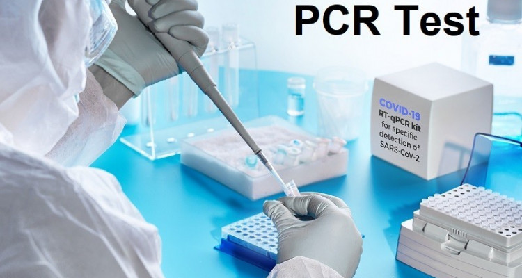 الإعفاء من الاستظهار بتحليل RT-PCR:  اللجنة العلمية  تُحذر من تزويرالتراخيص