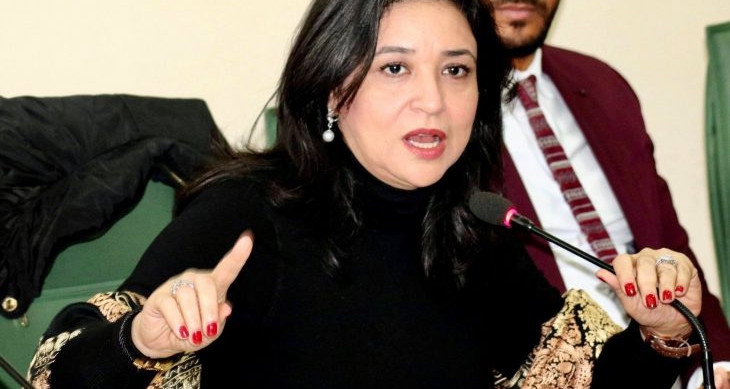 النائبة سماح دمق : '' الحكومة توصلت إلى حل مشكلة اعتصام قابس ''