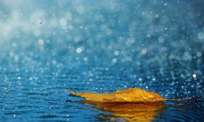 Météo : pluies temporairement orageuses sur la plupart des régions