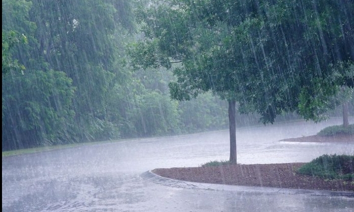 أمطار رعدية بهذه المناطق اليوم