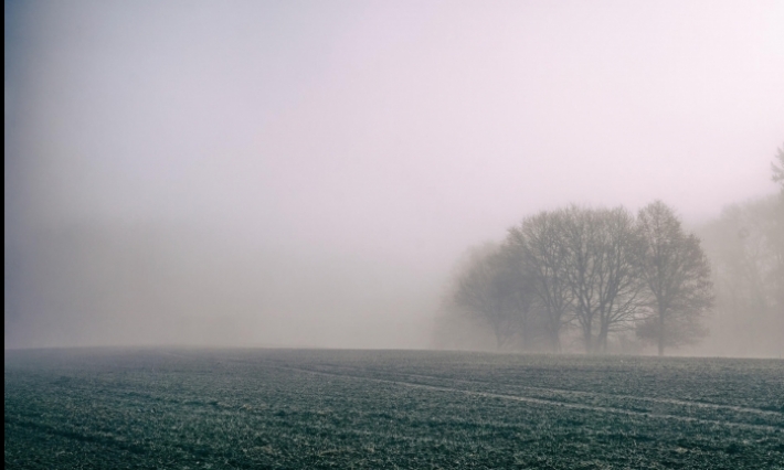 Météo : Brouillard localement dense durant la matinée