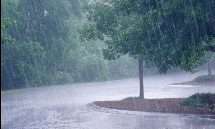 Alerte météo : Températures en baisse et pluies orageuses 
