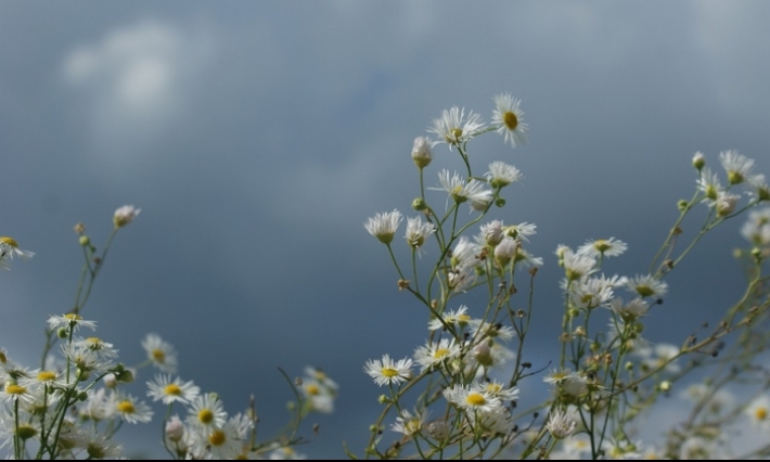 Météo d'aujourd'hui, jeudi 27 Février 2020  