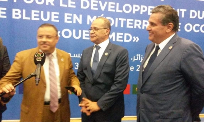 سمير الطيب: تونس مستعدة لرئاسة "واست ماد" في سنة 2020