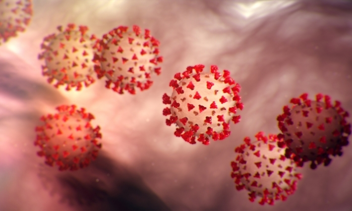 Coronavirus : 29 cas confirmés en Tunisie 